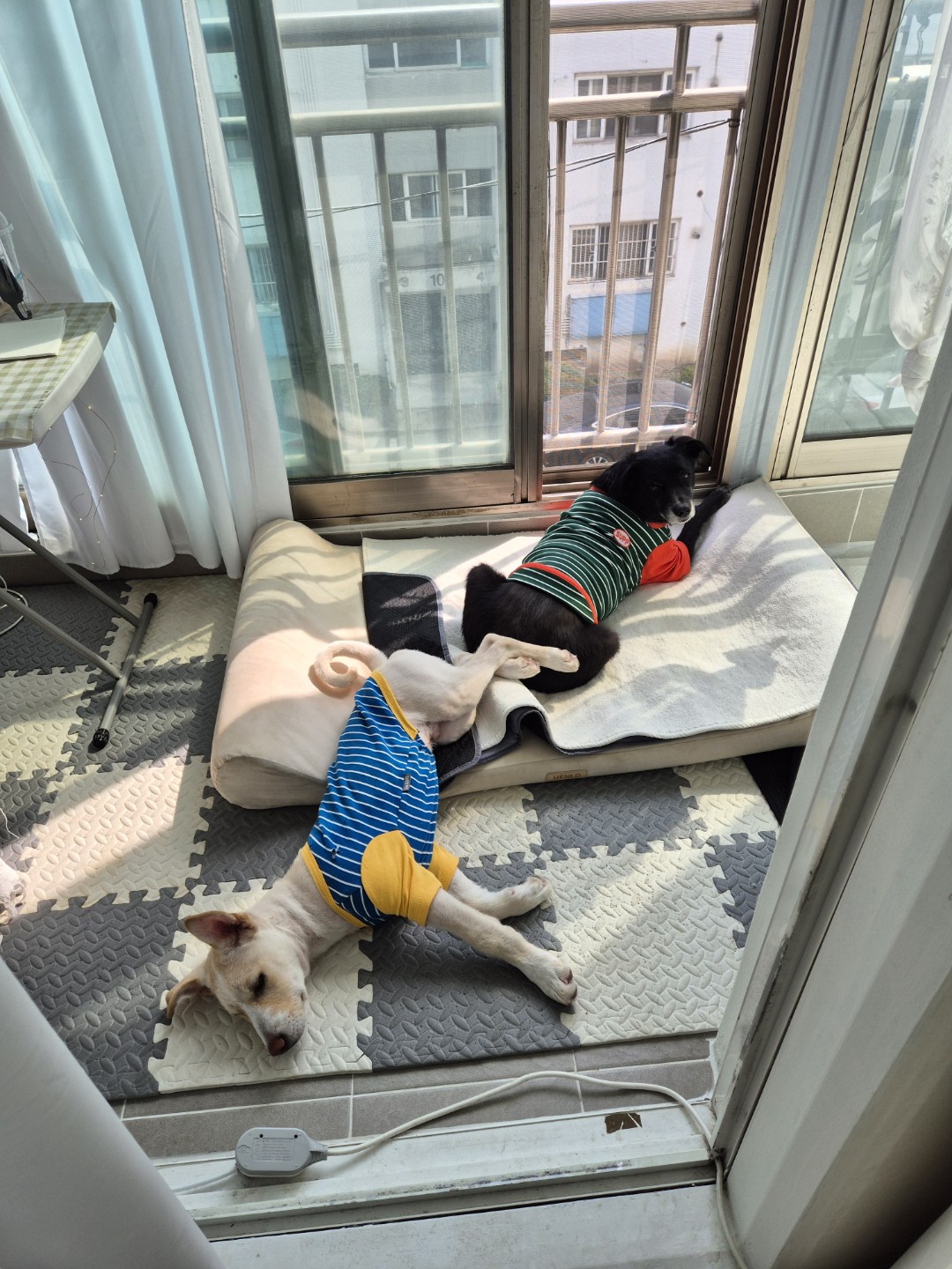 Post image 21
