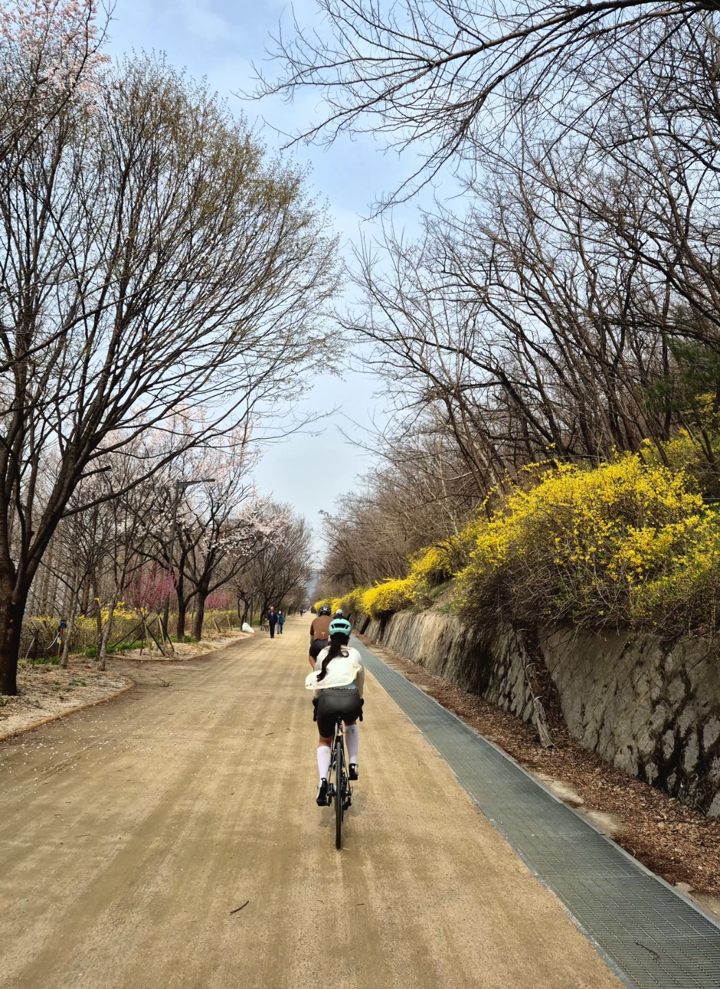 Post image 5