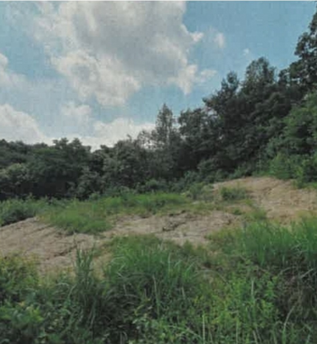 Post image 6