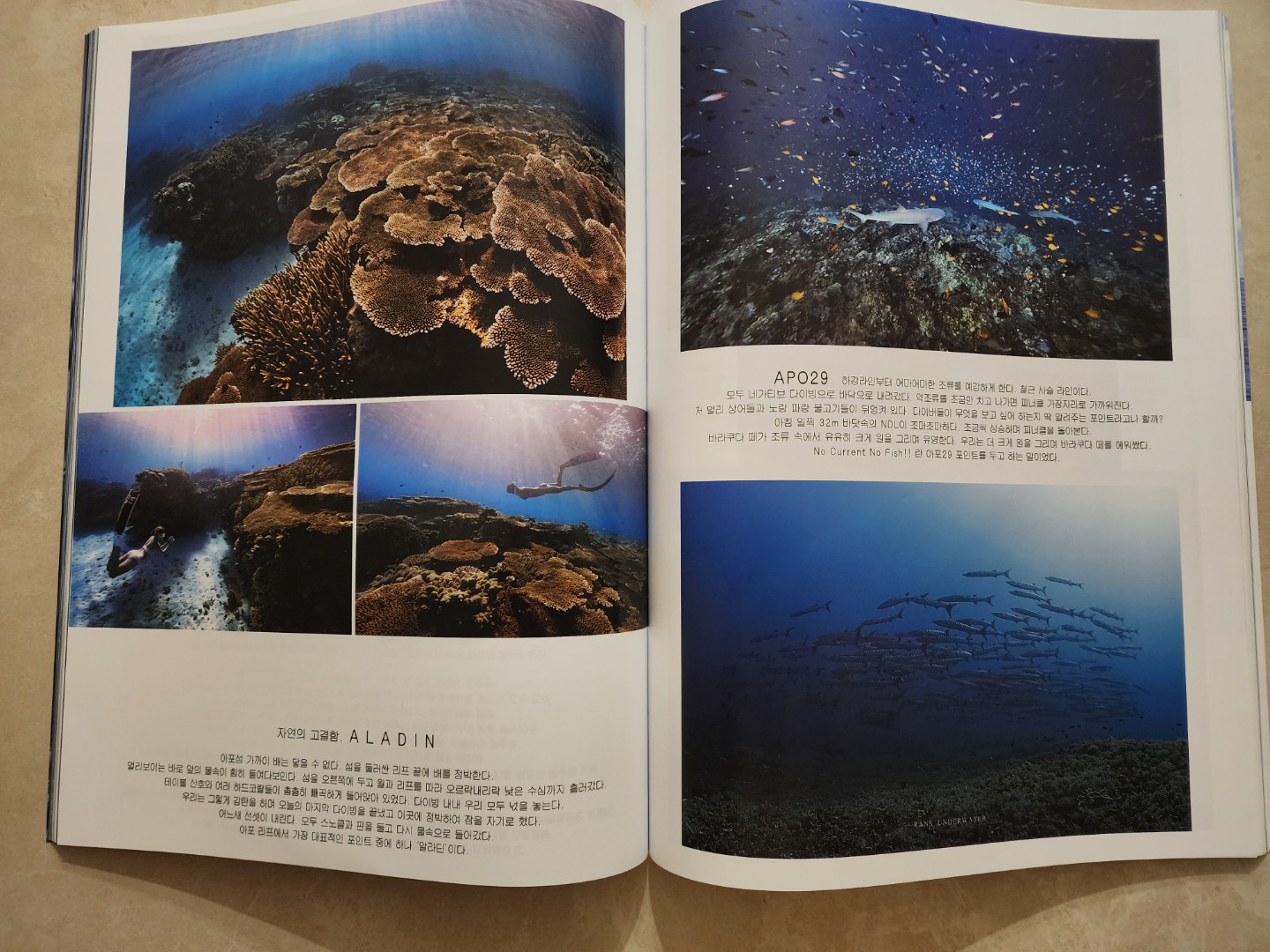 Post image 12