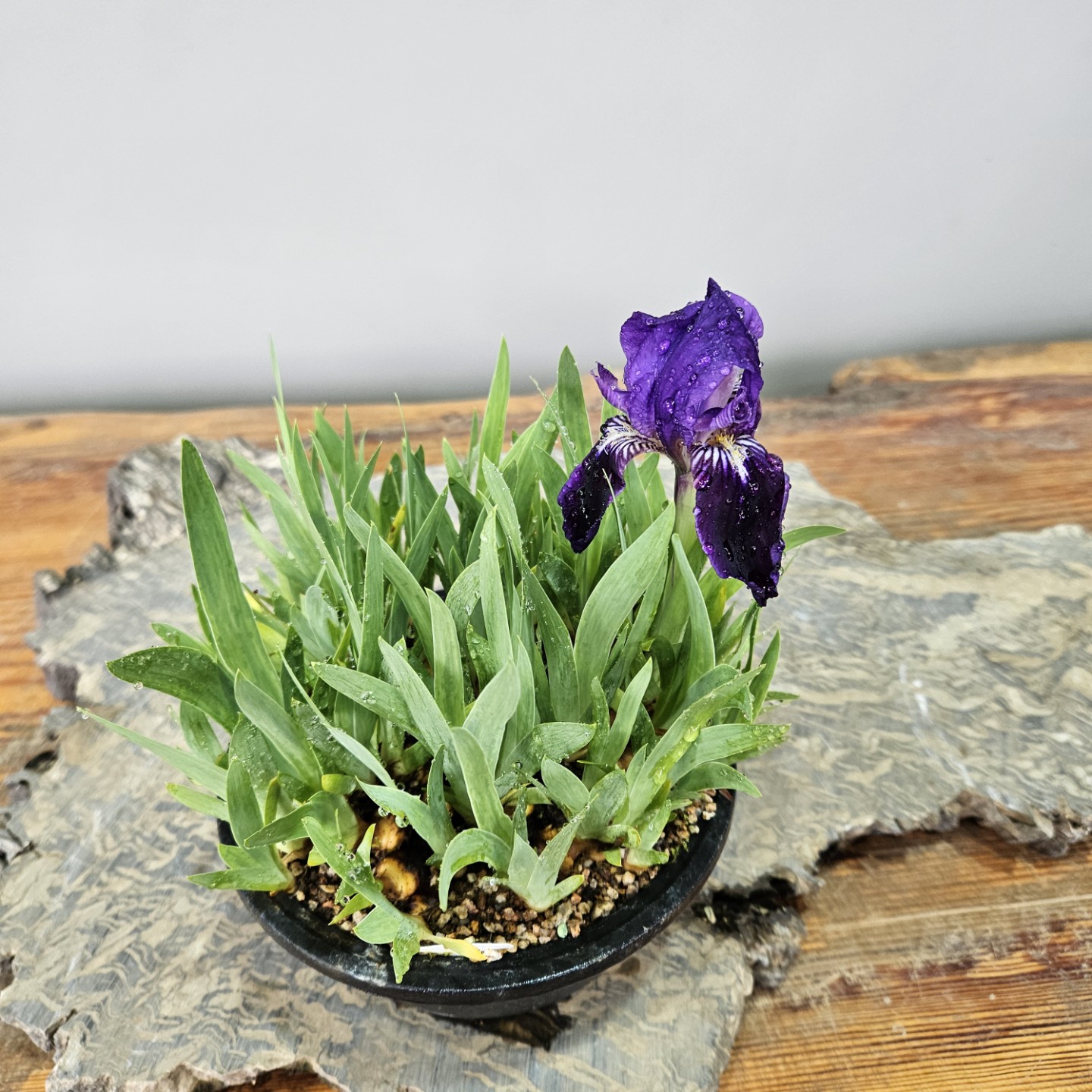 Post image 7