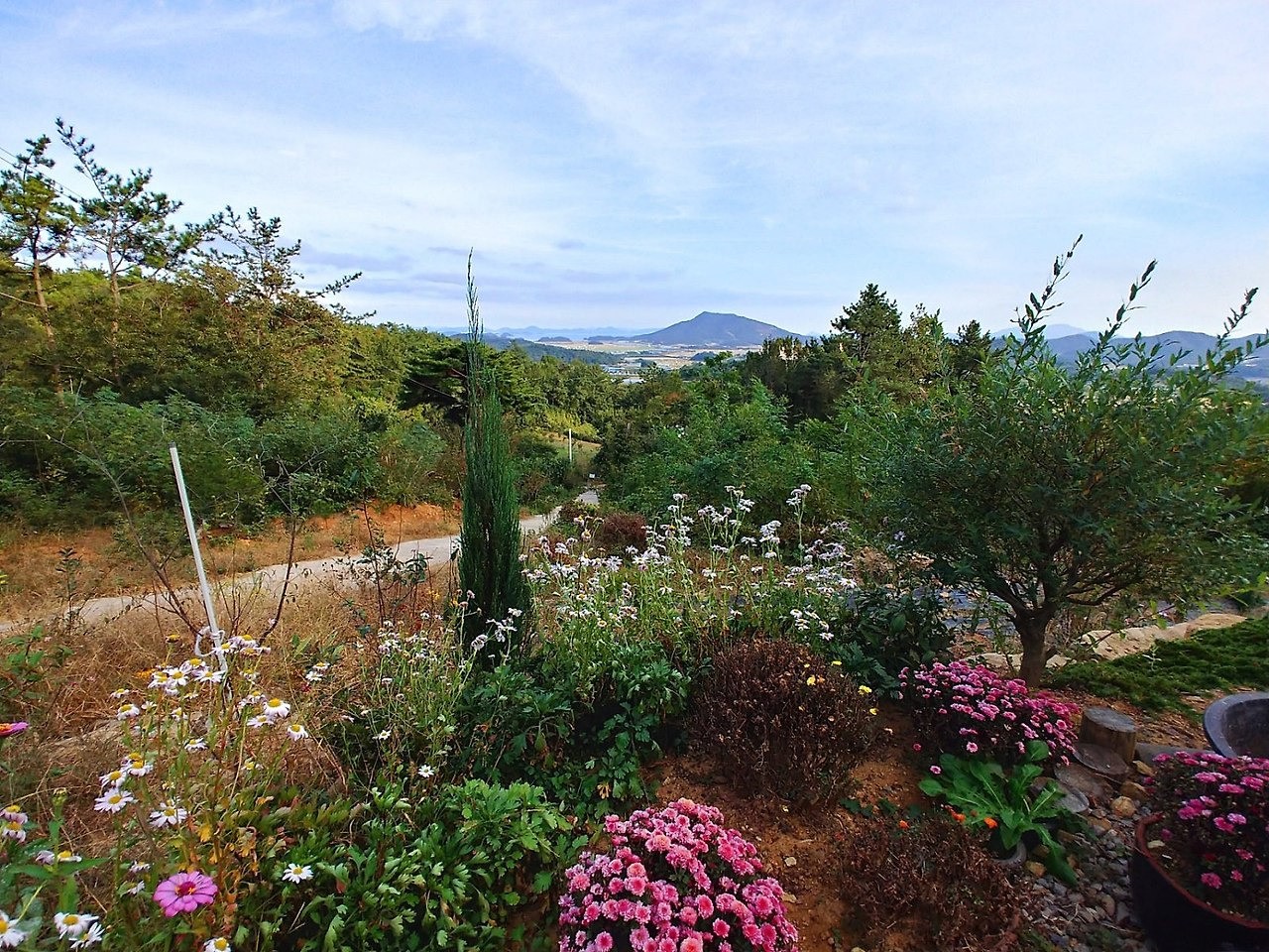 Post image 5