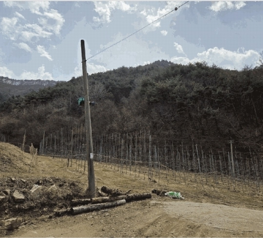 Post image 5