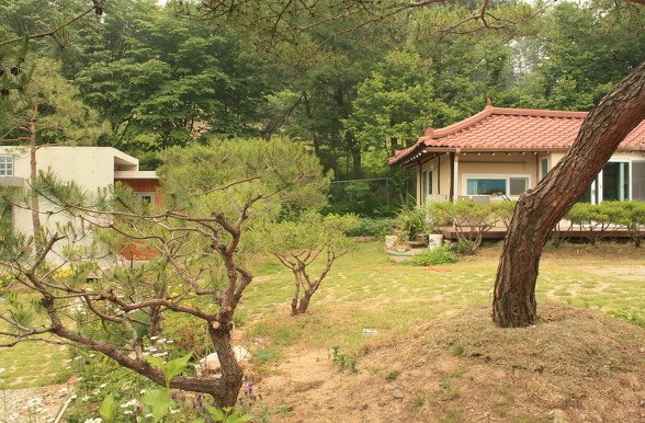 Post image 7