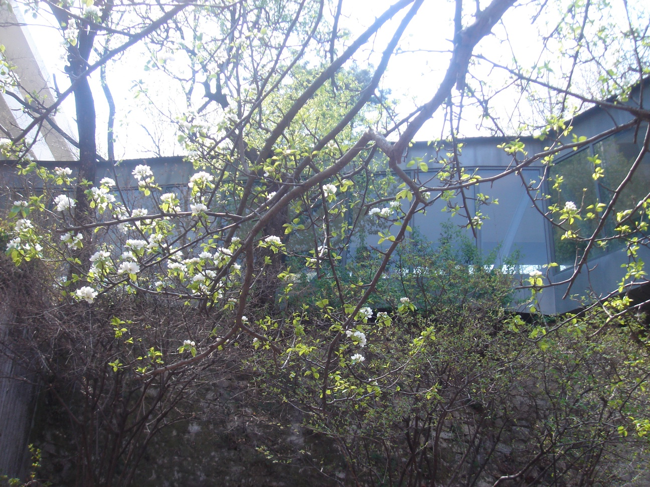 Post image 6