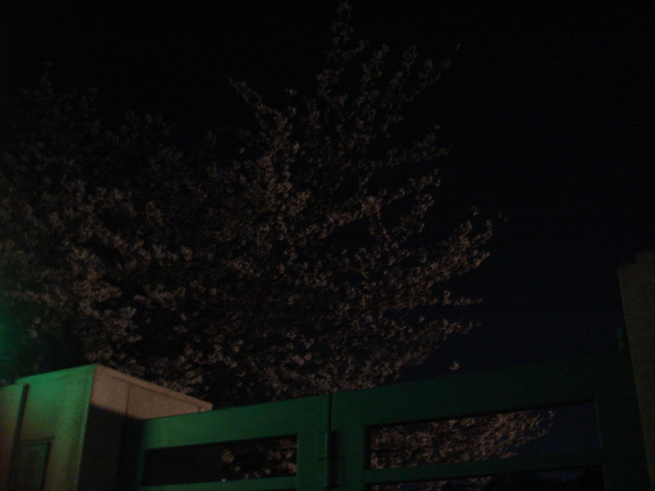 Post image 11