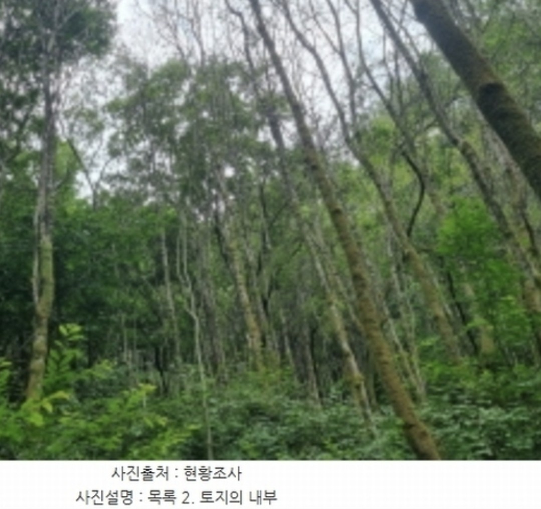 Post image 5