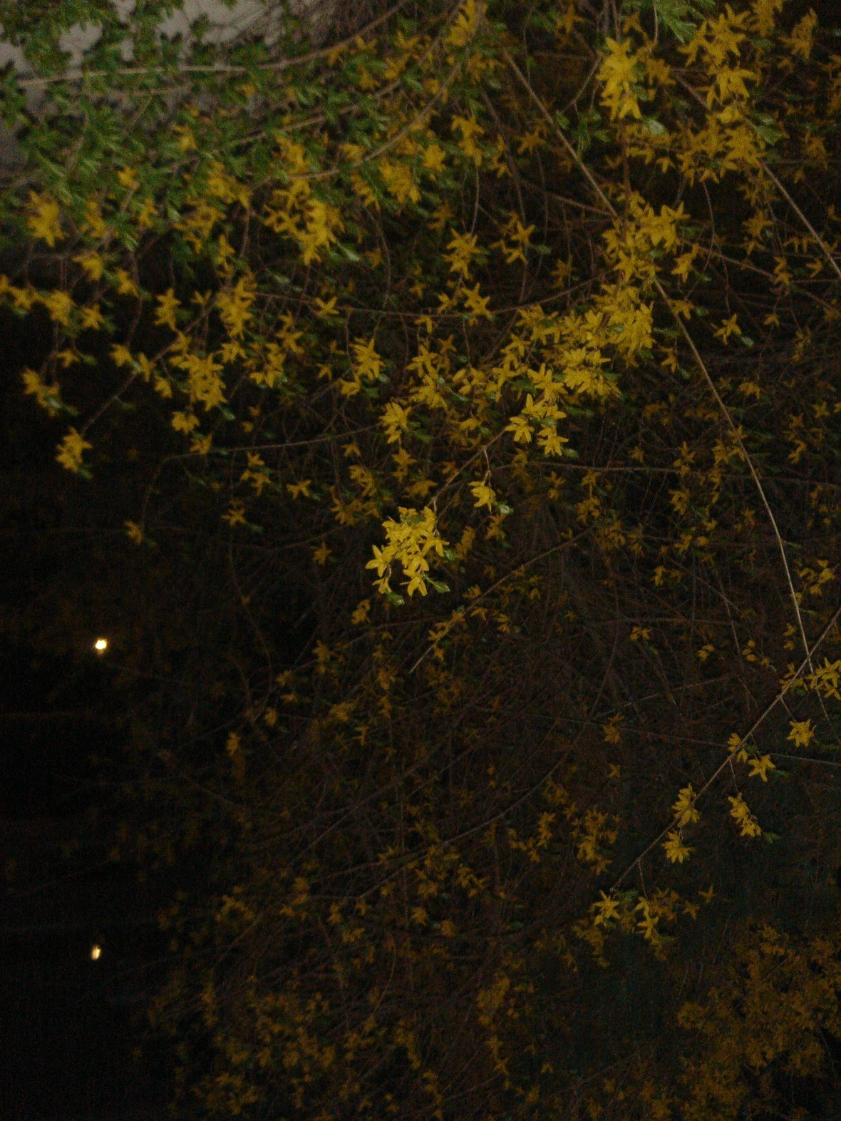 Post image 7