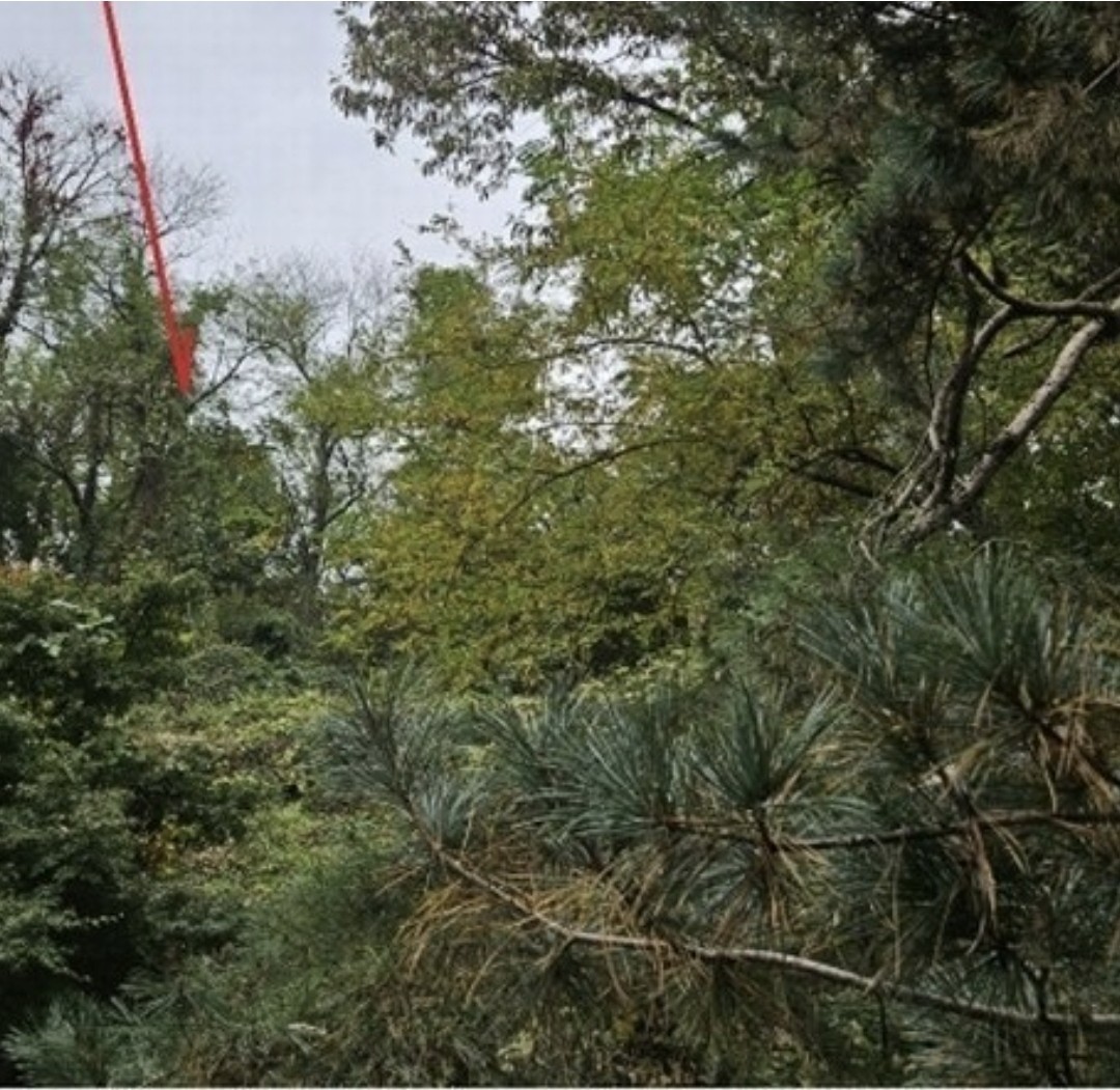Post image 6