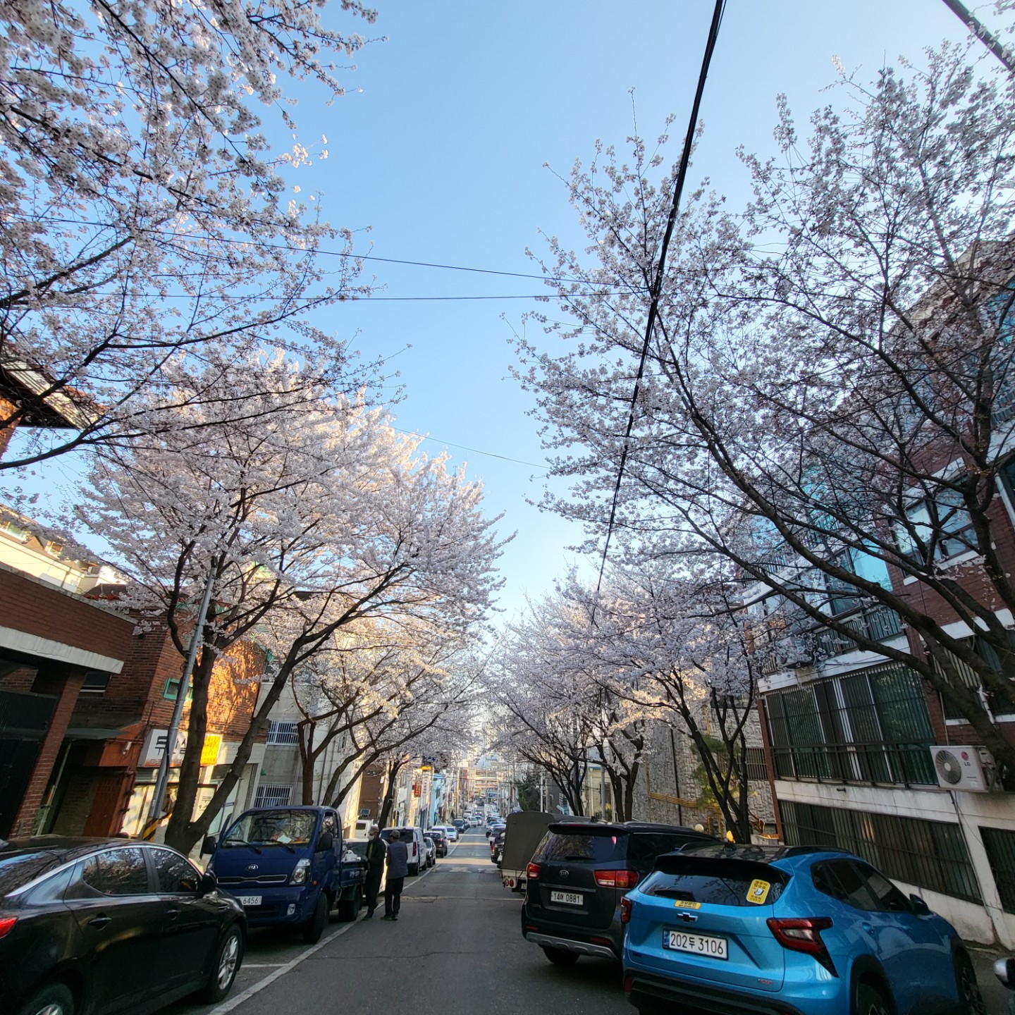 자소서 작성방법