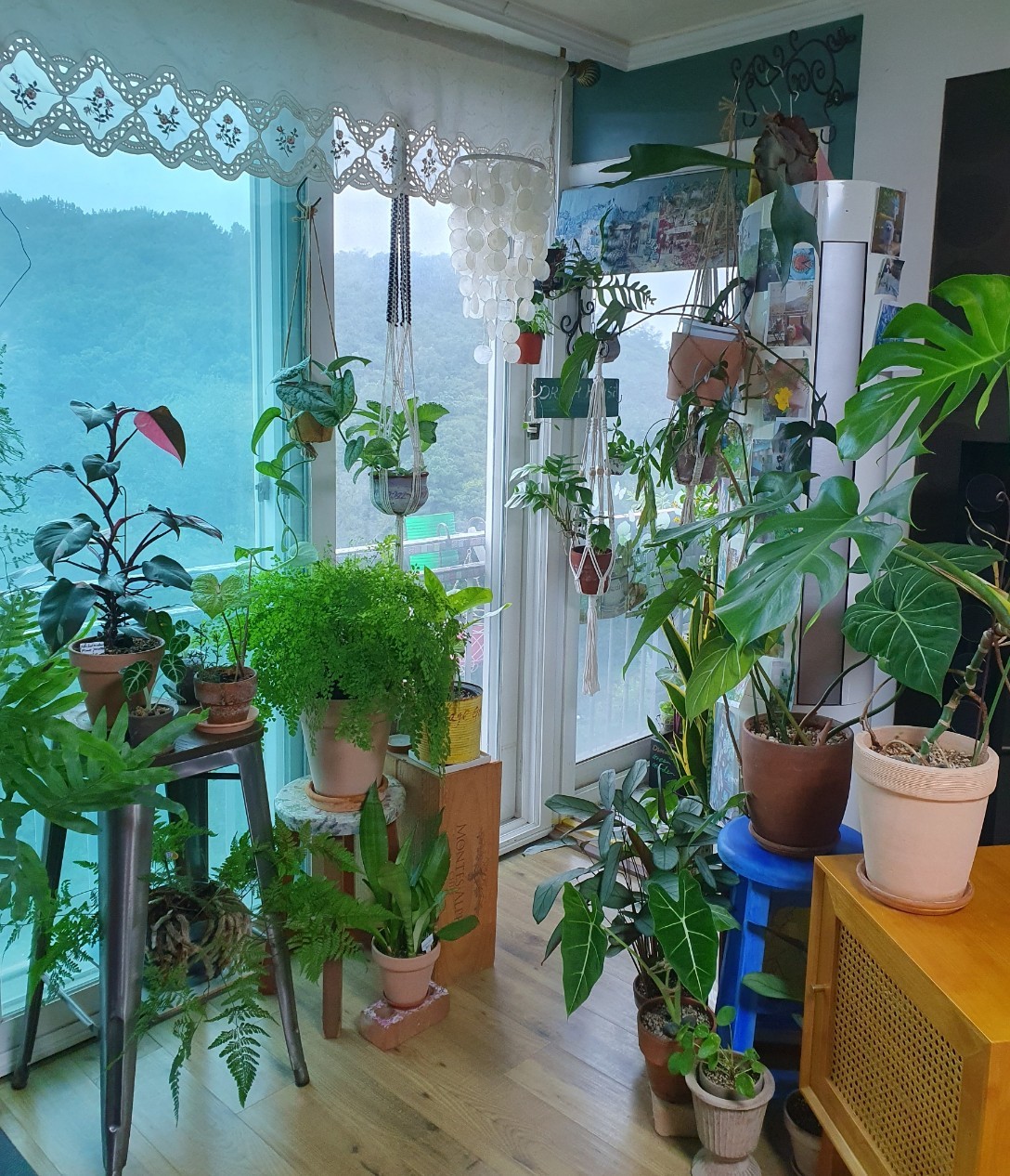 Post image 13