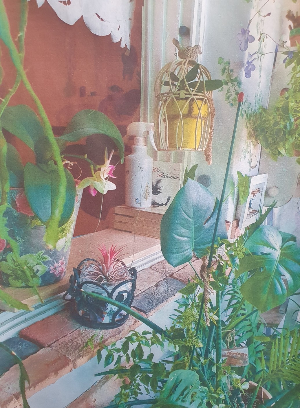 Post image 10