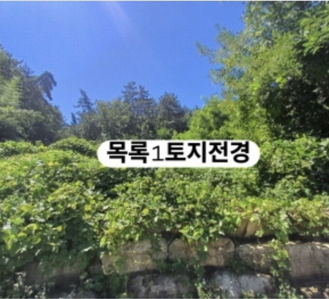 Post image 7