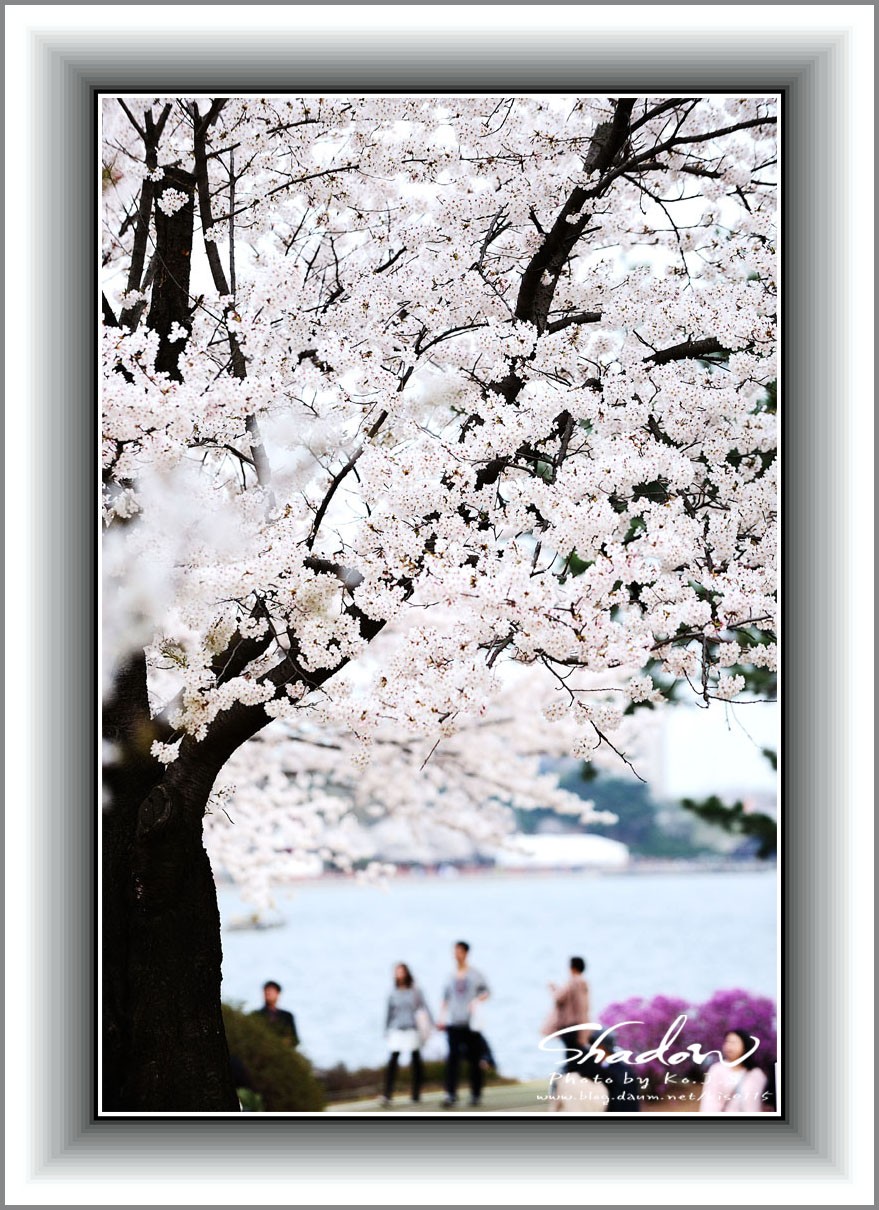 Post image 5