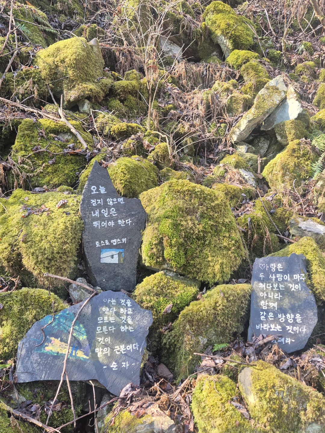 휴양림 아침 산책