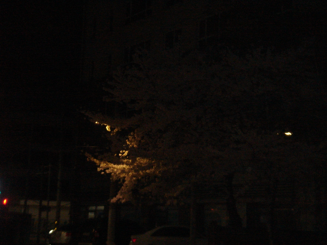 Post image 12