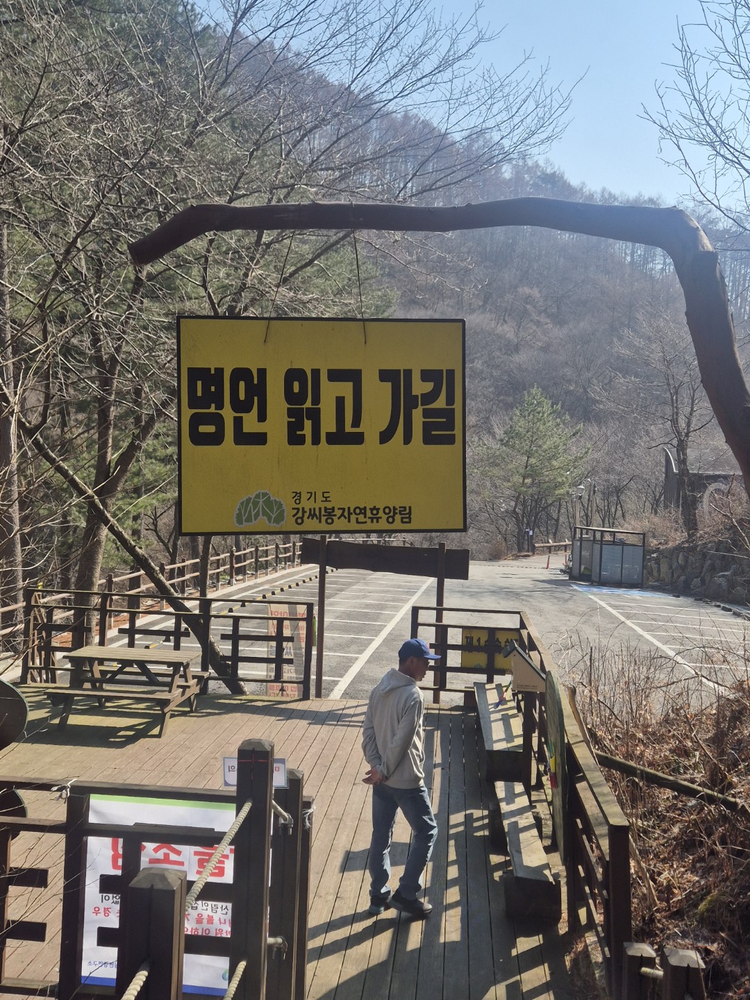 휴양림 아침 산책