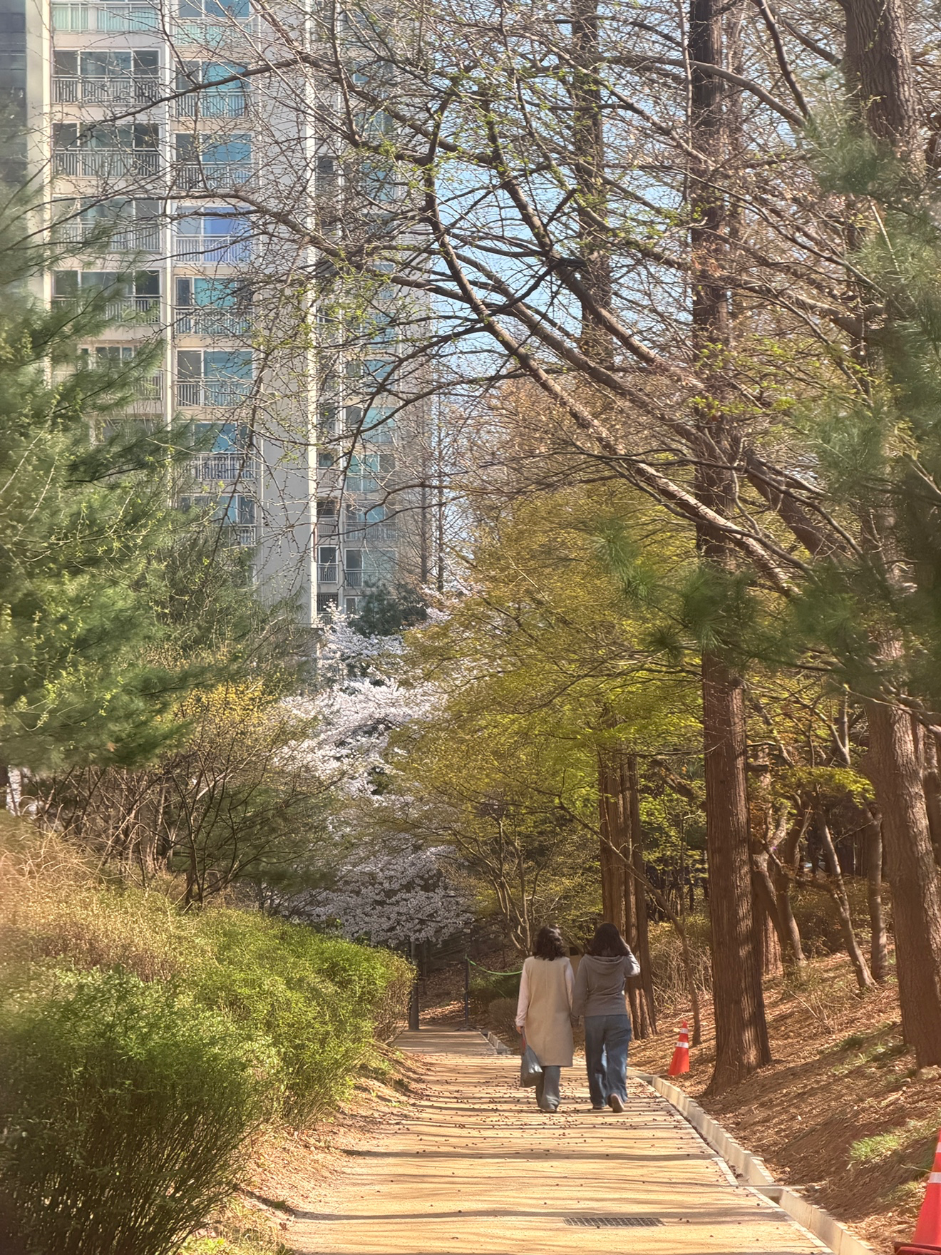 Post image 5