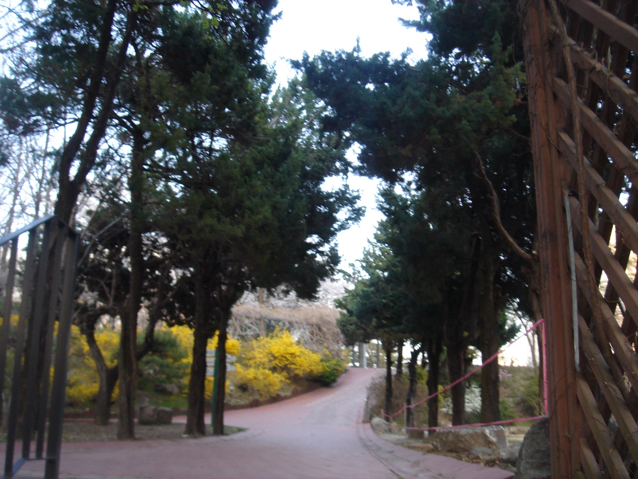 Post image 5
