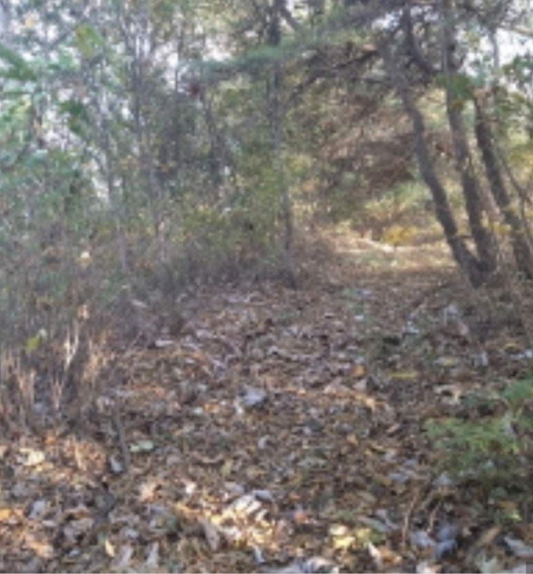 Post image 9
