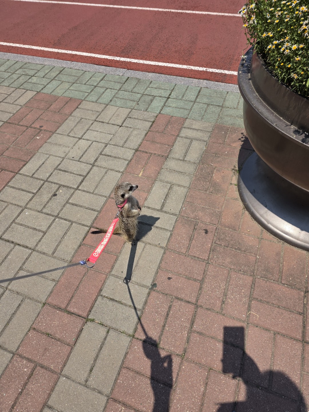 Post image 4