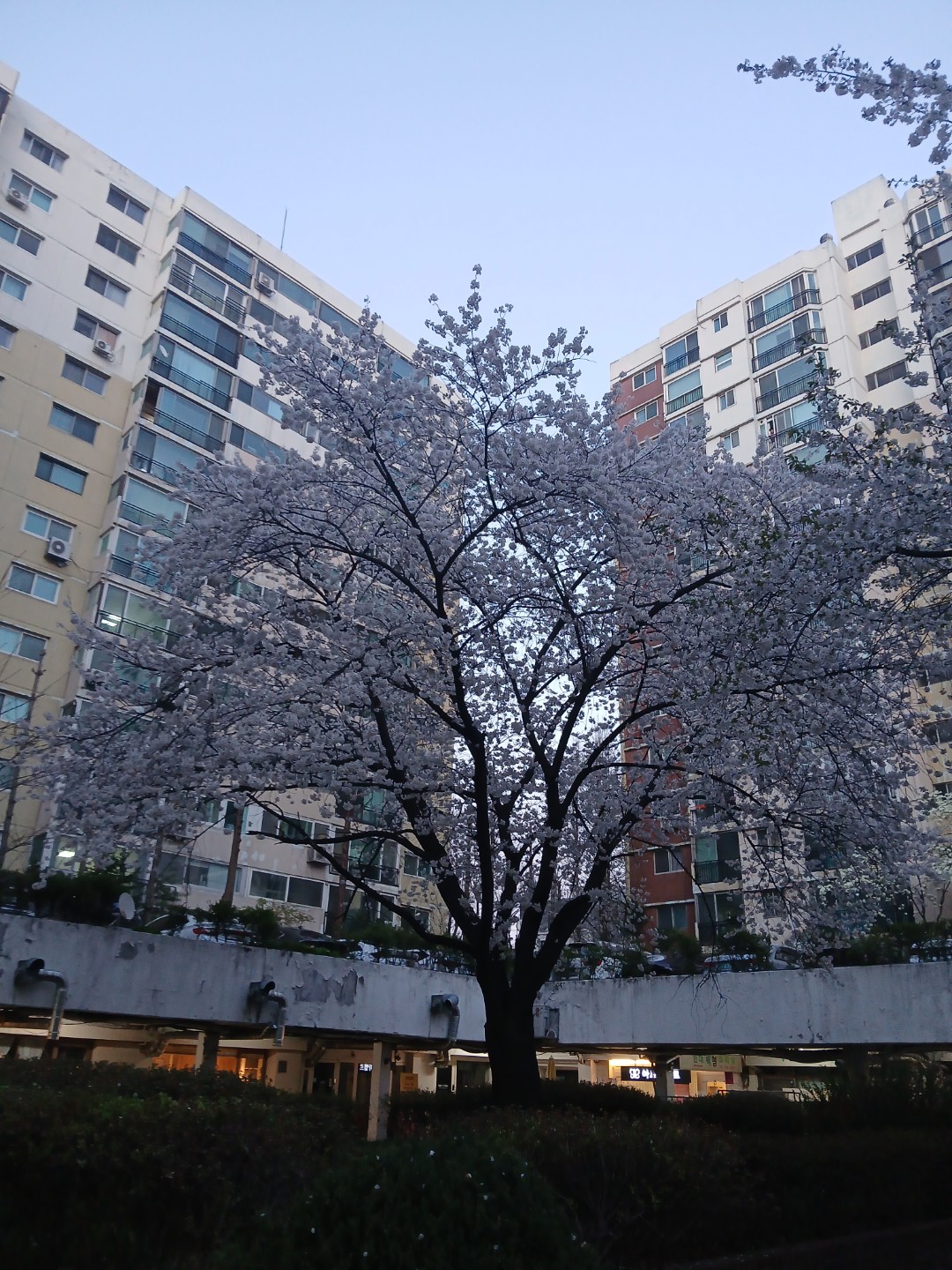 Post image 5