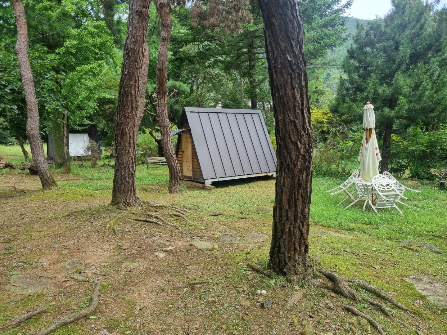전원에서 카페 해보세요