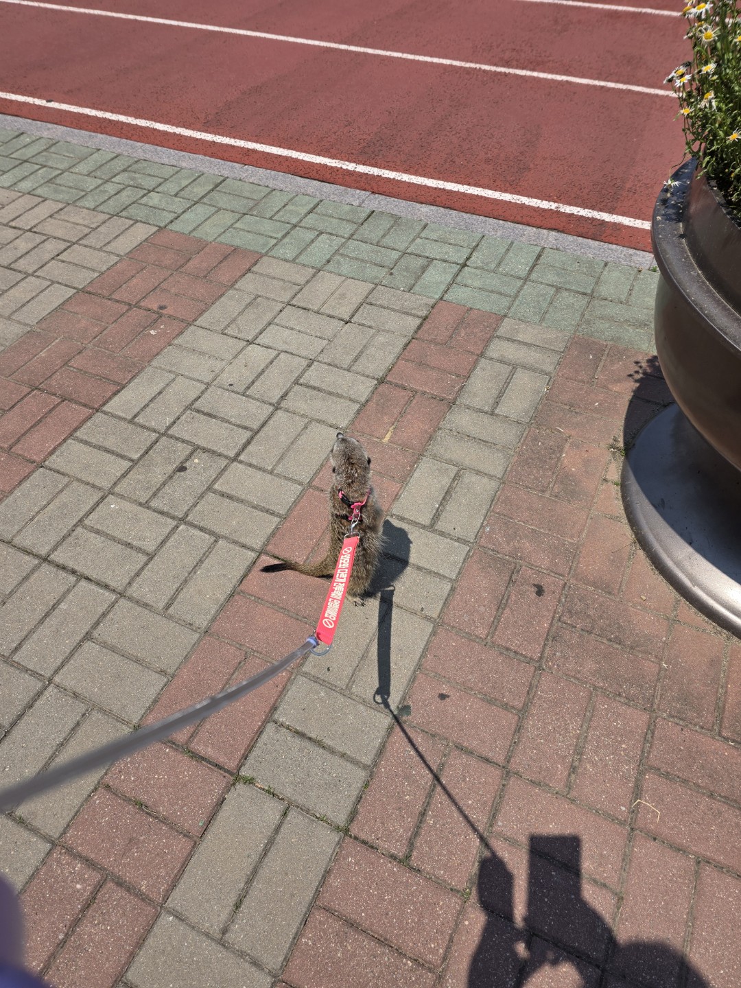 Post image 6