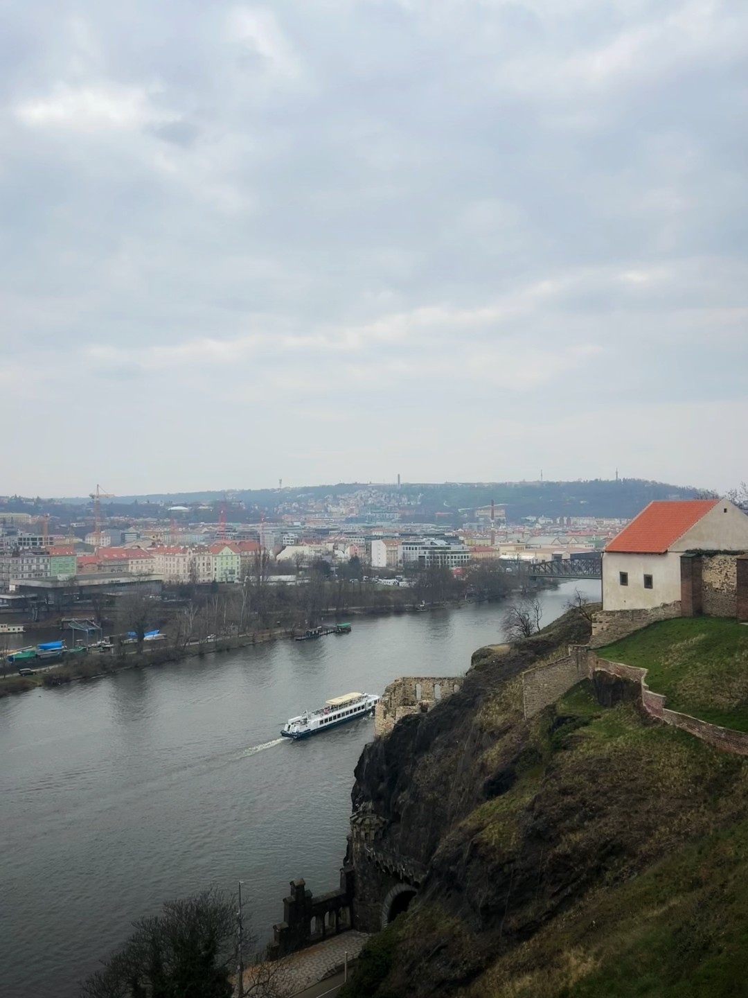 나는 순한 사람이 좋다.