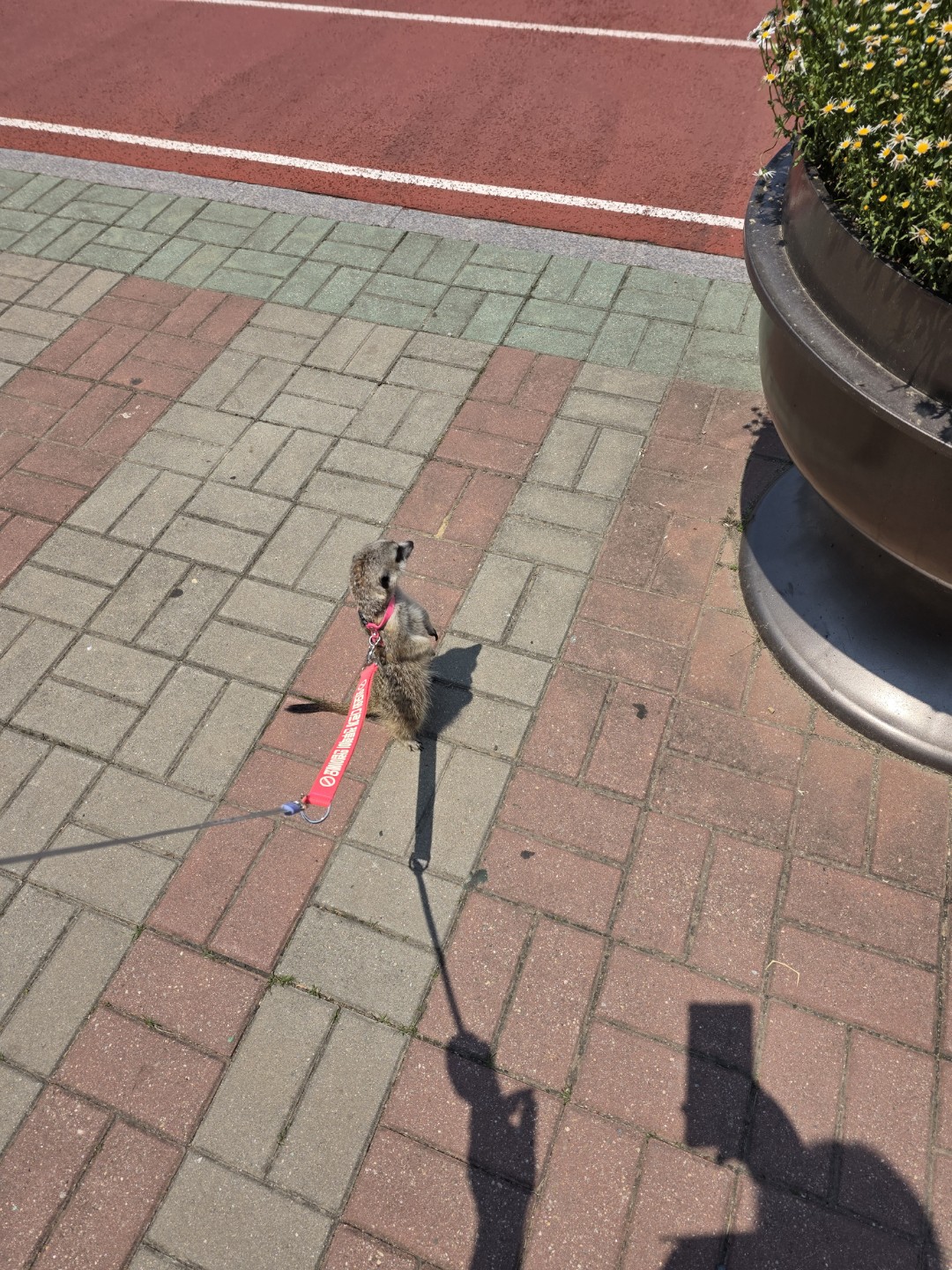 Post image 5