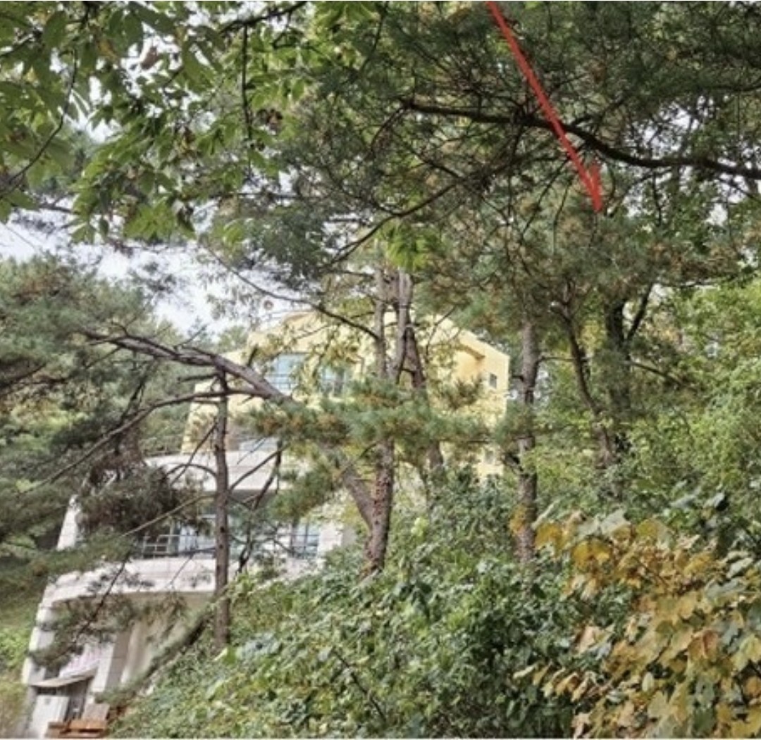 Post image 5