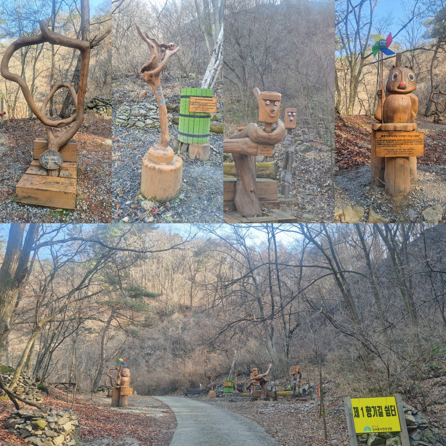 휴양림 아침 산책