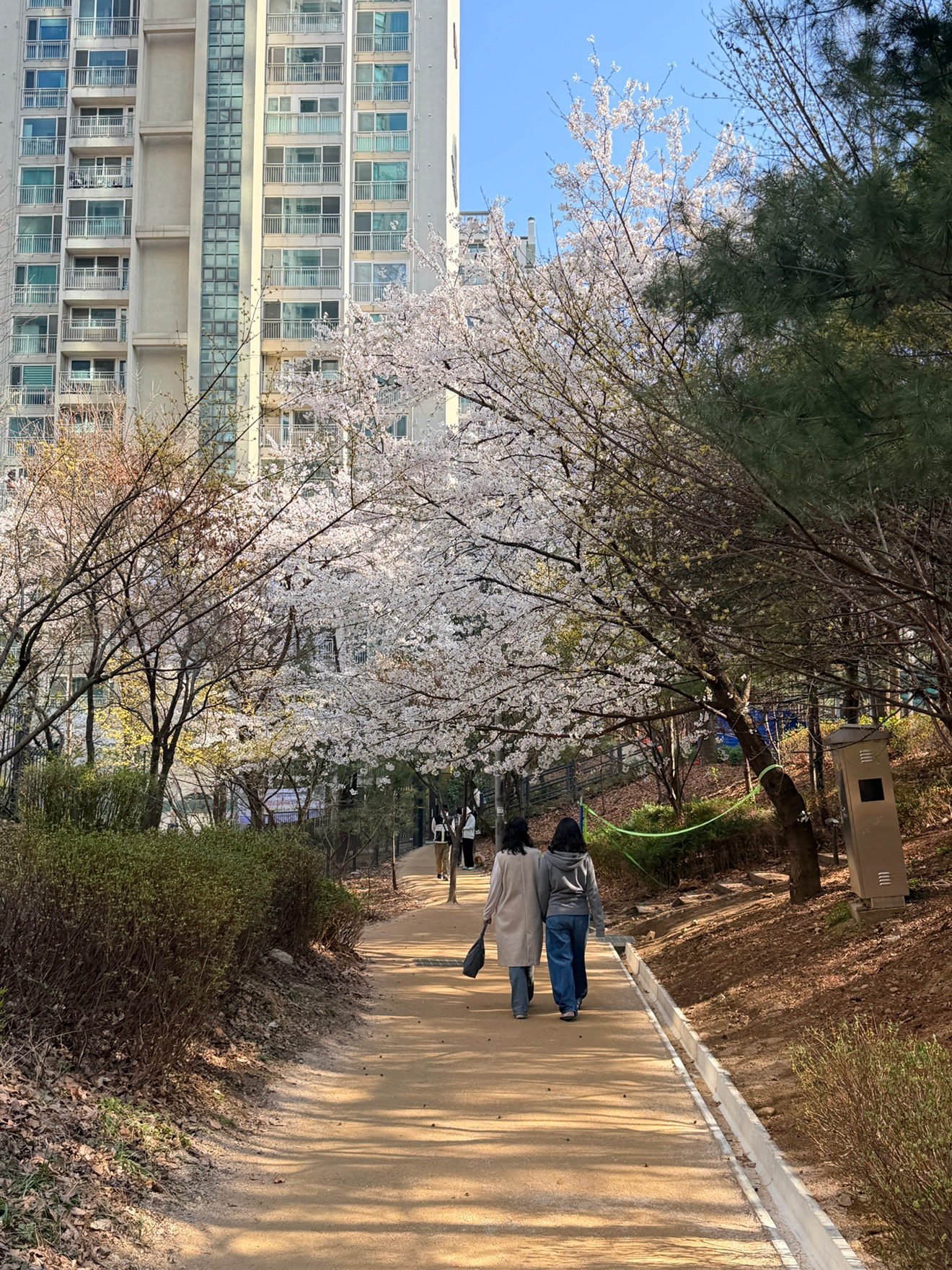 Post image 6