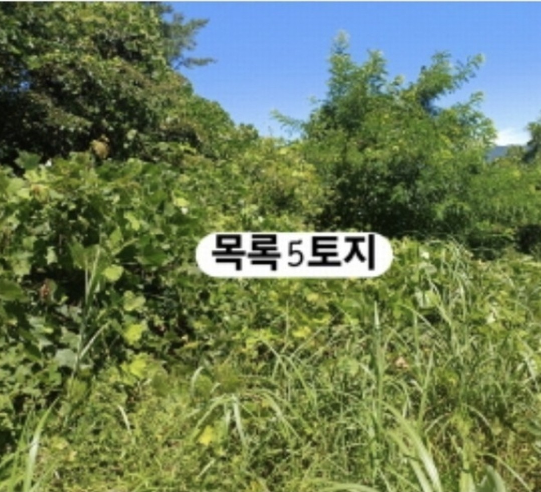 Post image 6