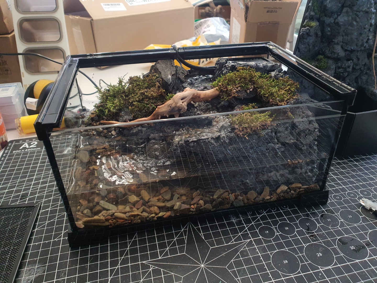 Post image 9
