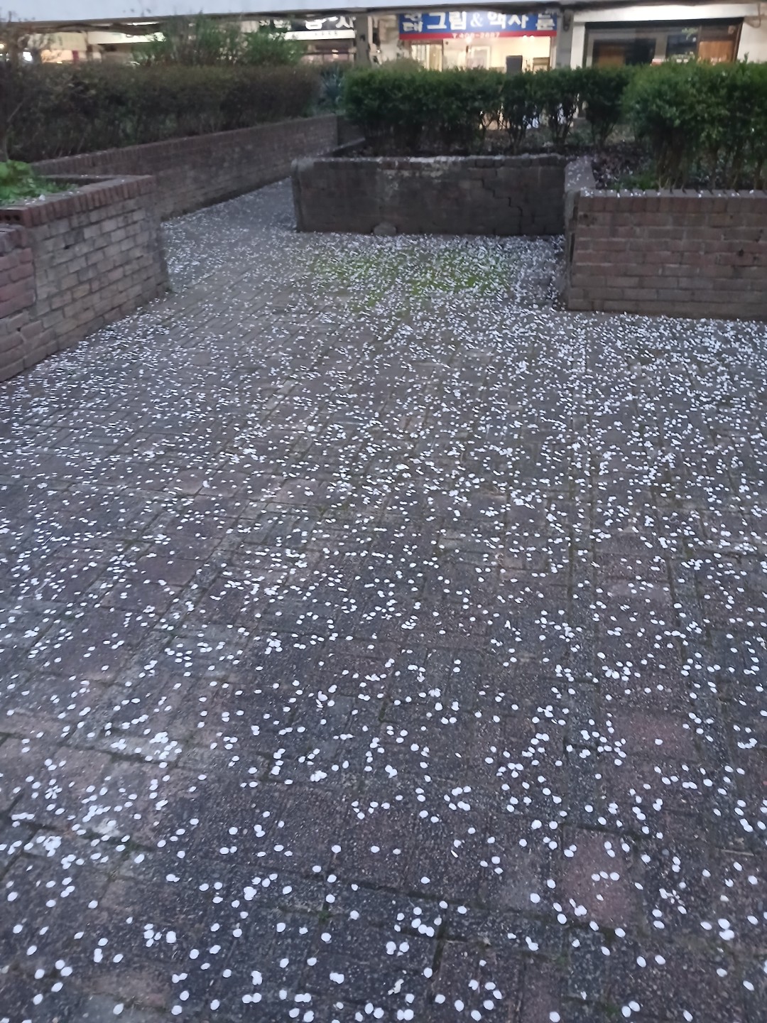 Post image 6