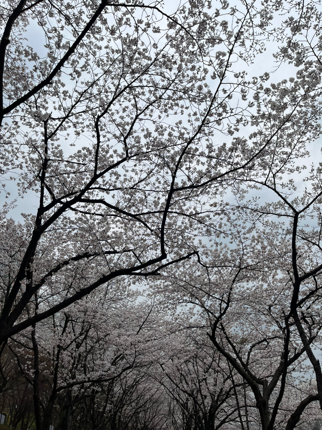 Post image 6