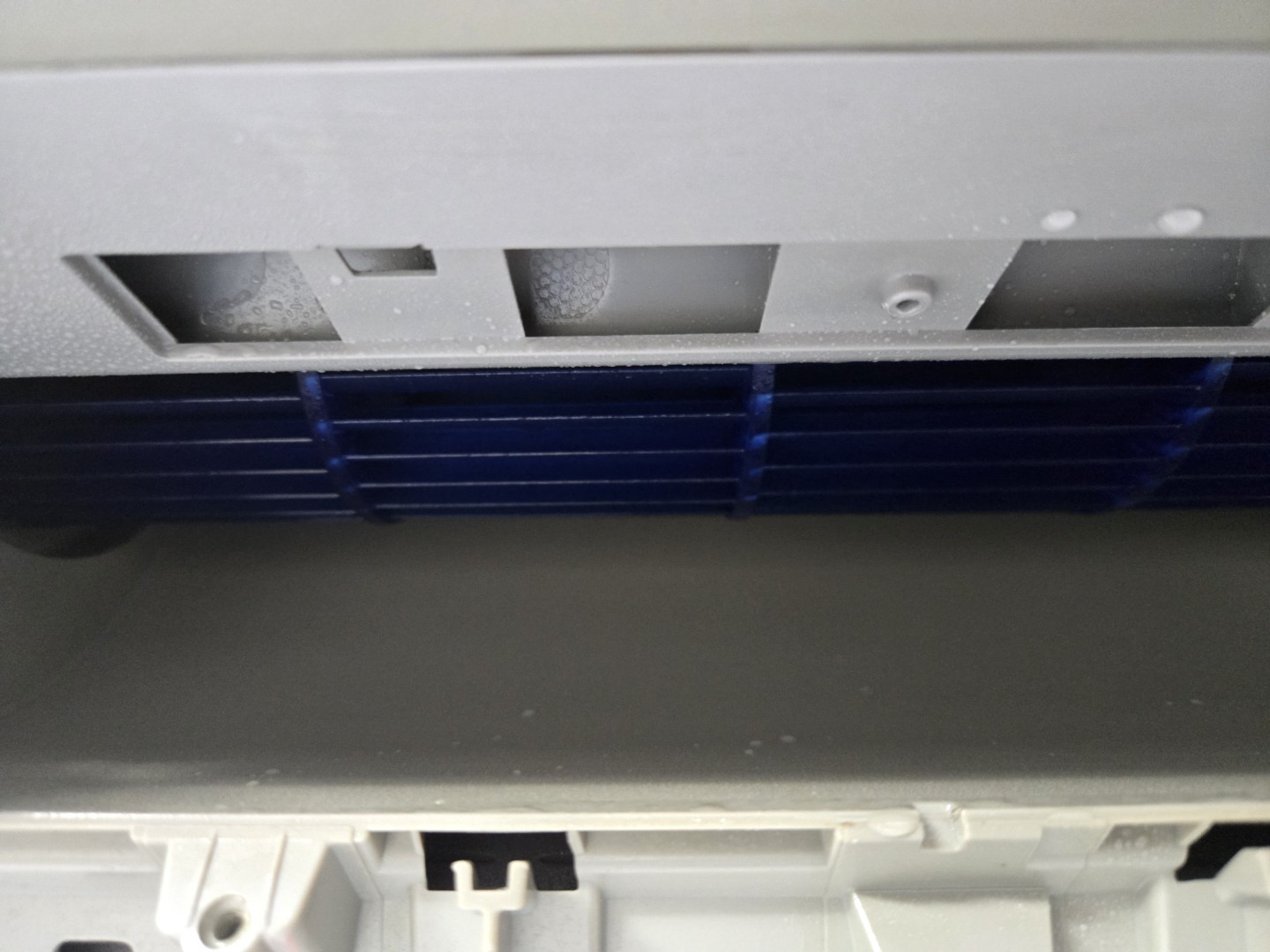 또 역시나 출석 체크