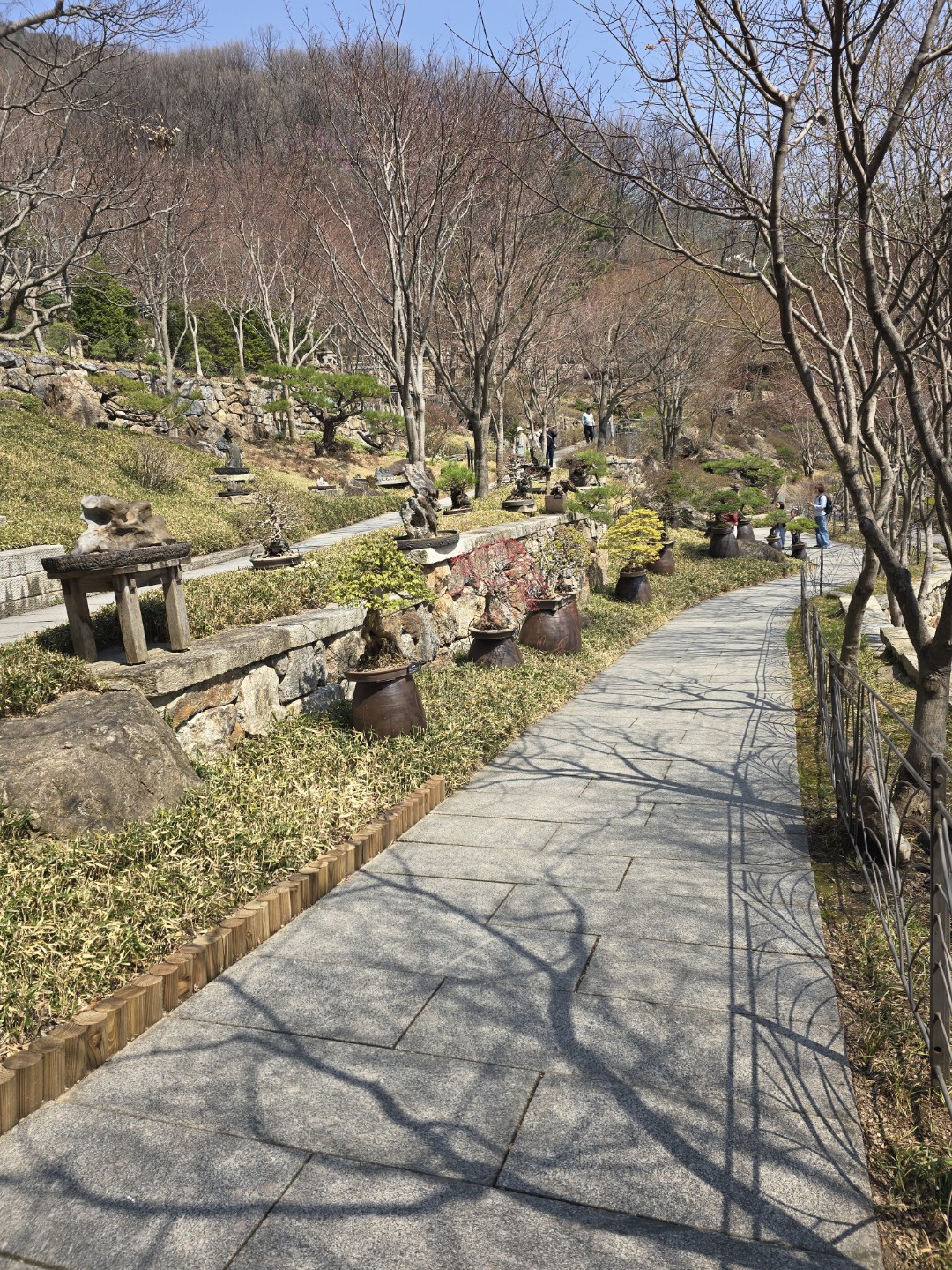 Post image 9