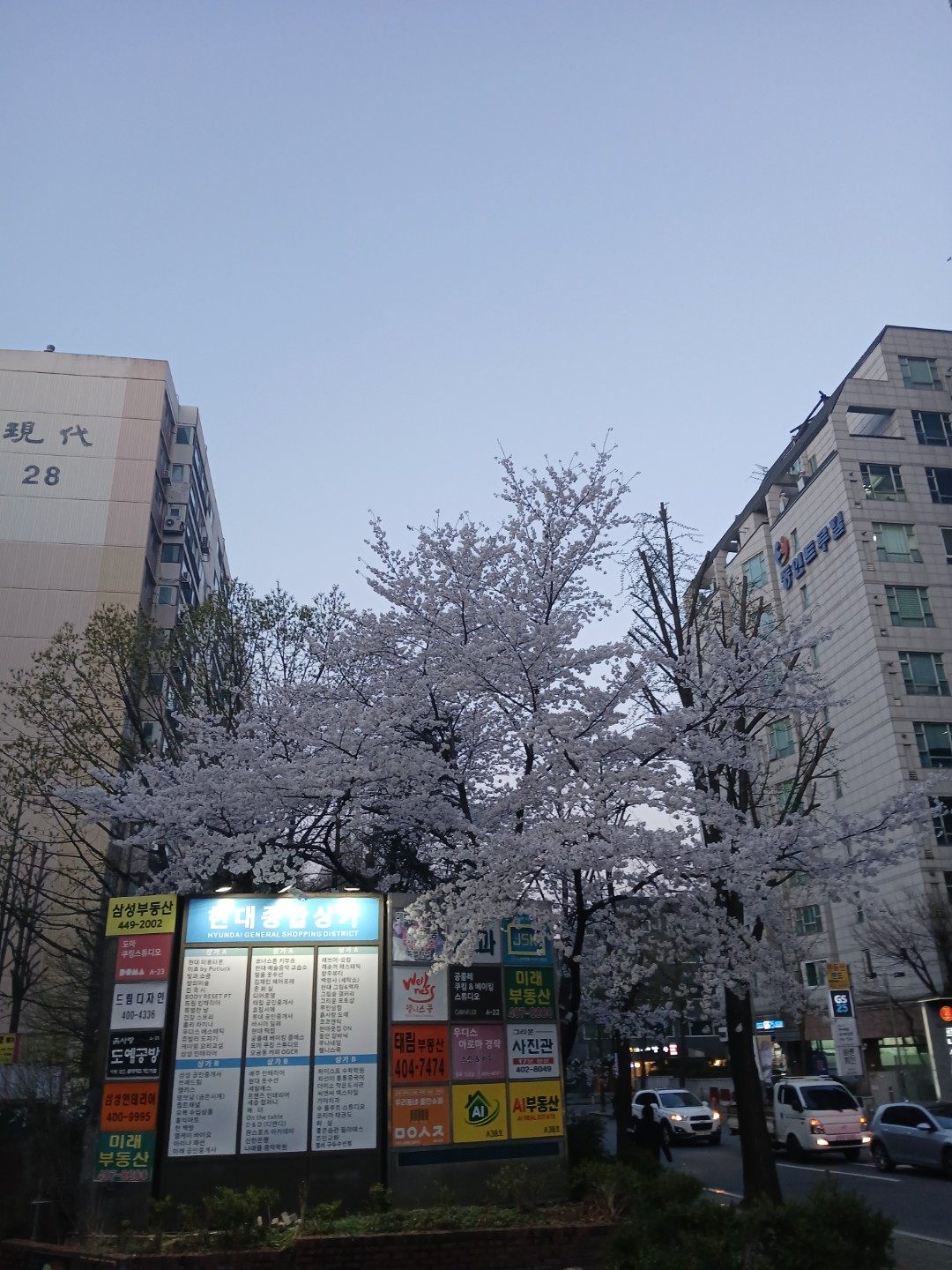 Post image 4