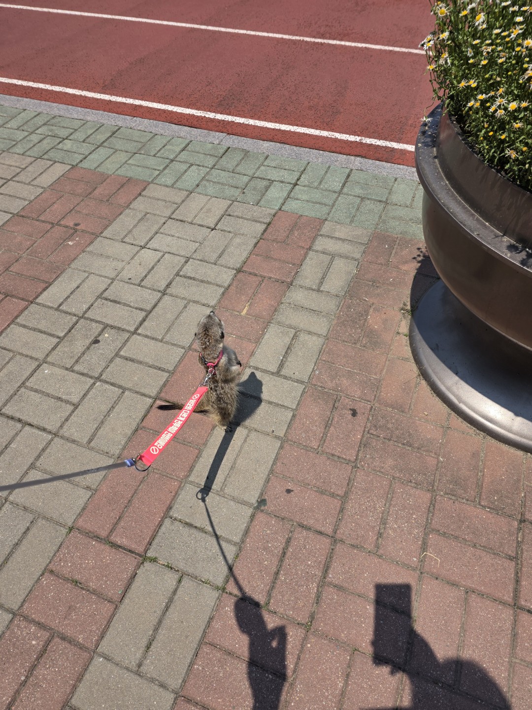 Post image 7