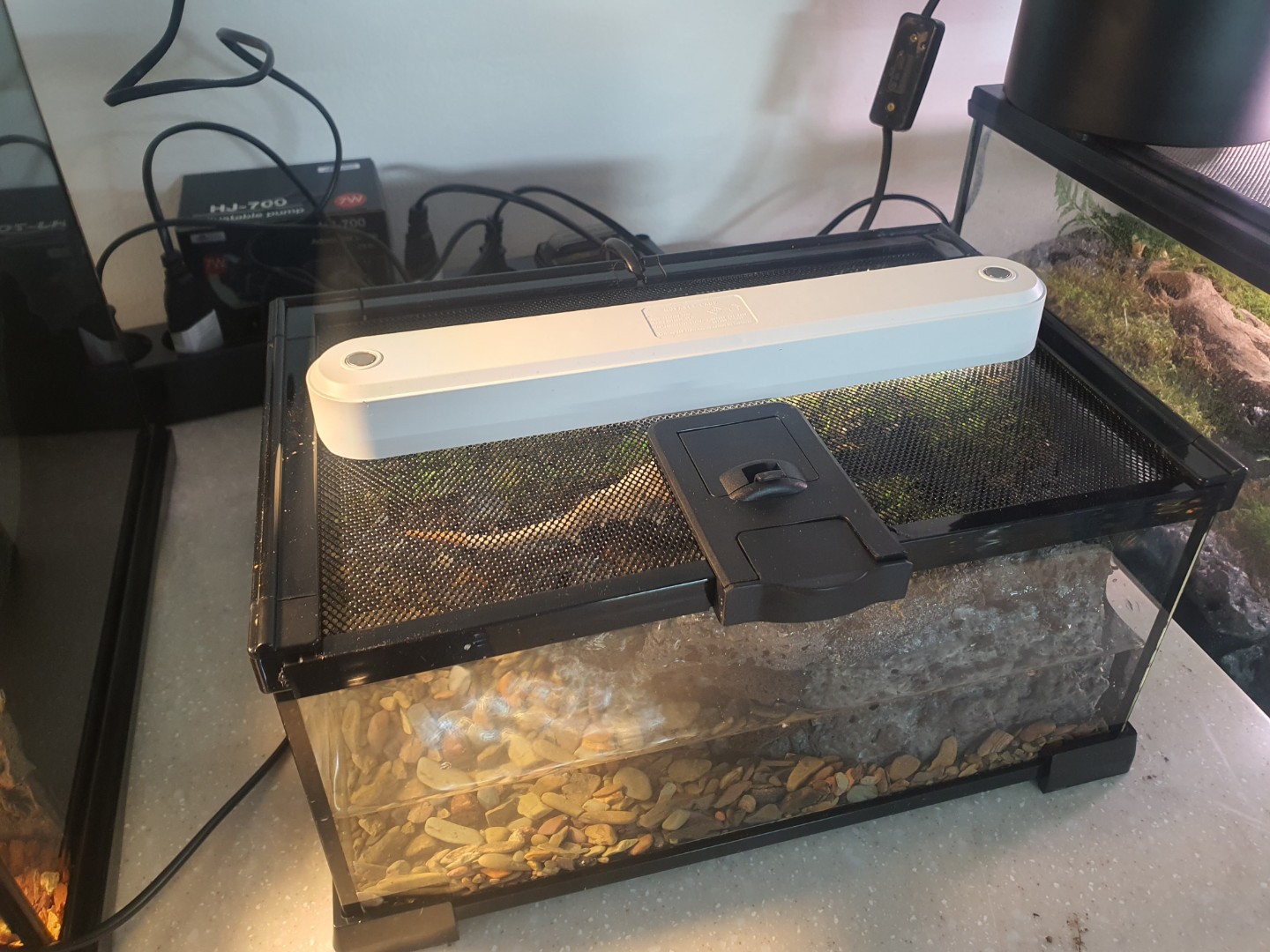Post image 7