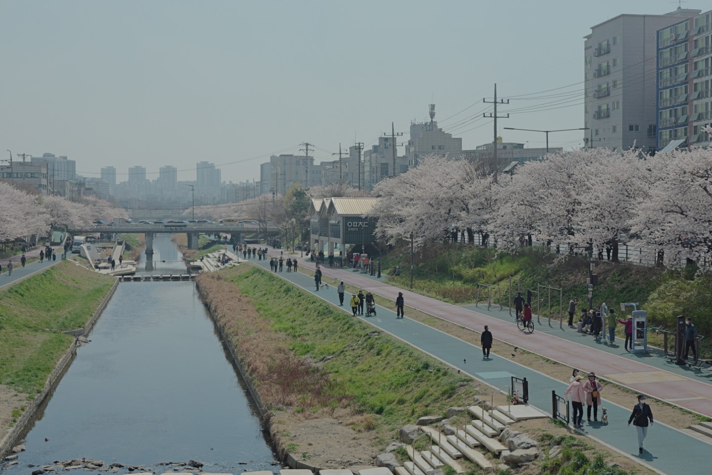 Post image 7