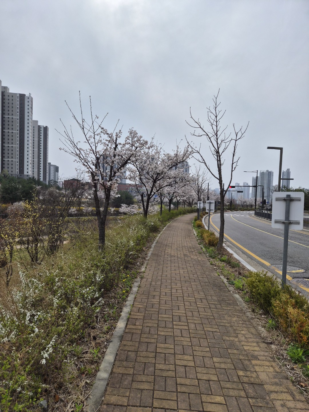 동탄 치동천공원에서