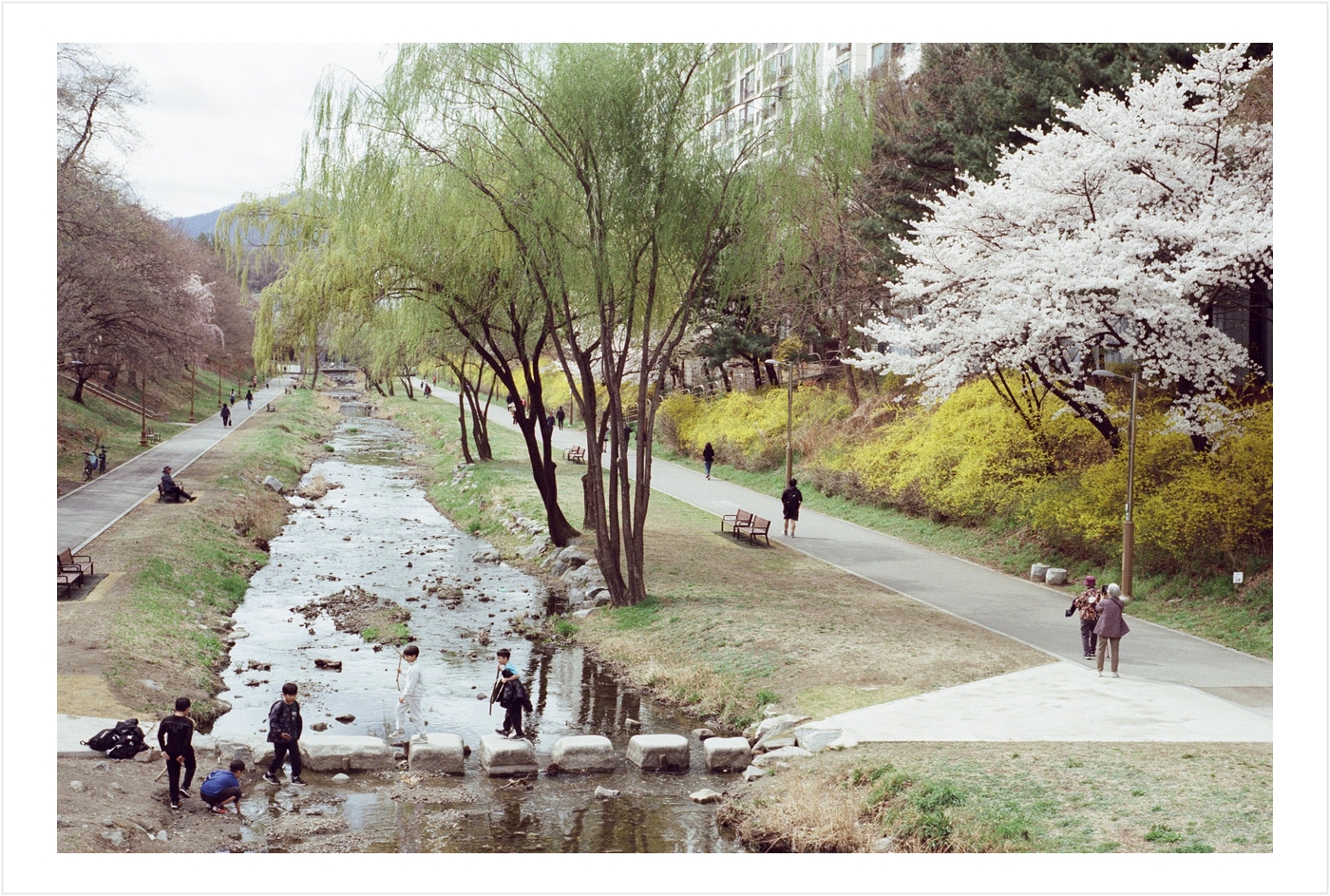 Post image 10
