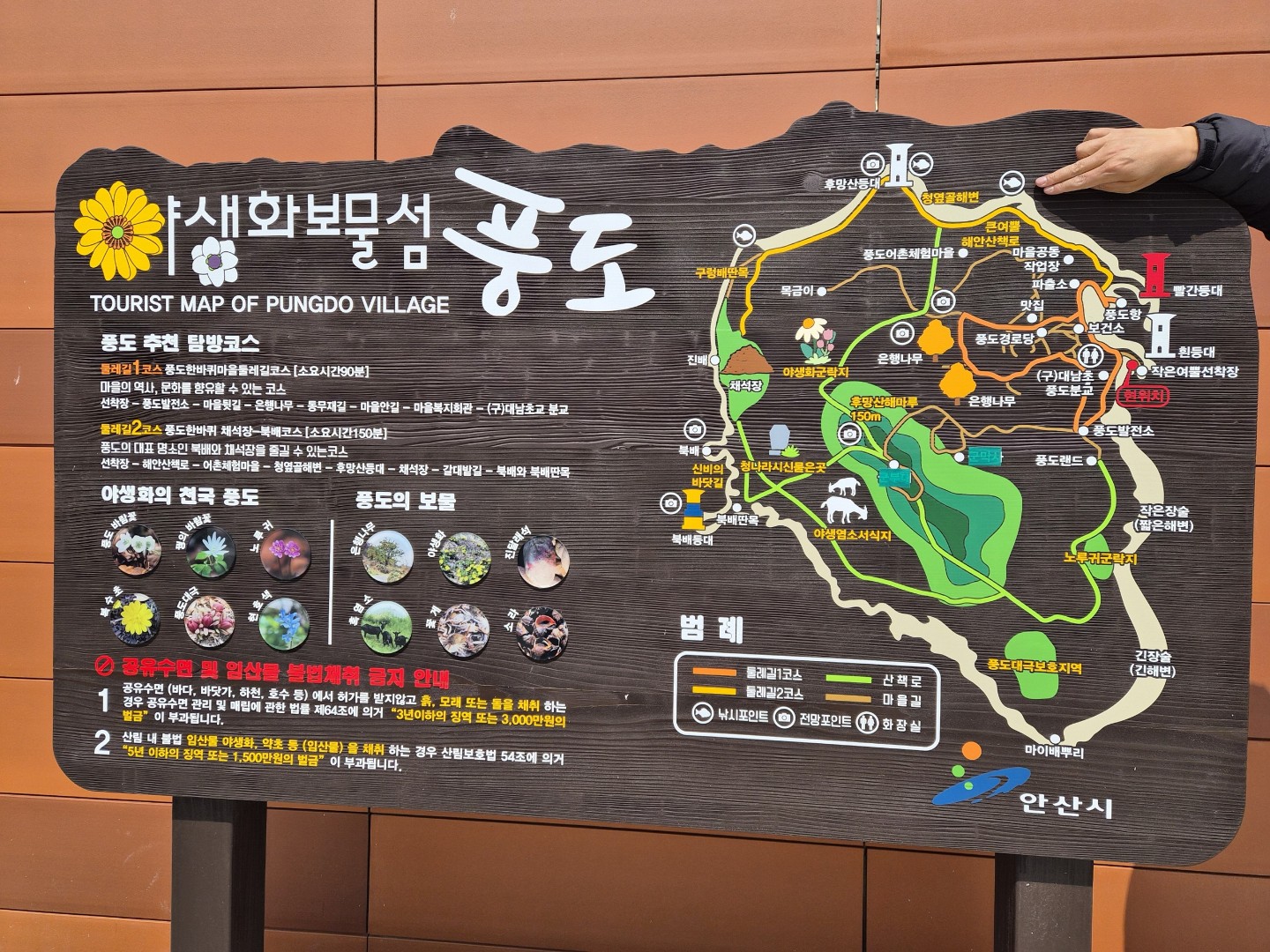 풍도지도에서 손가락 지점이 우럭포인트 민박 집이예요