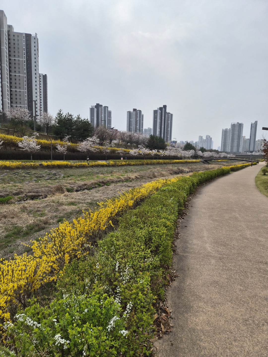 동탄 치동천공원에서