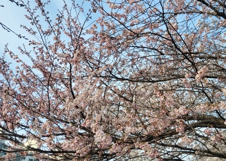 Post image 7
