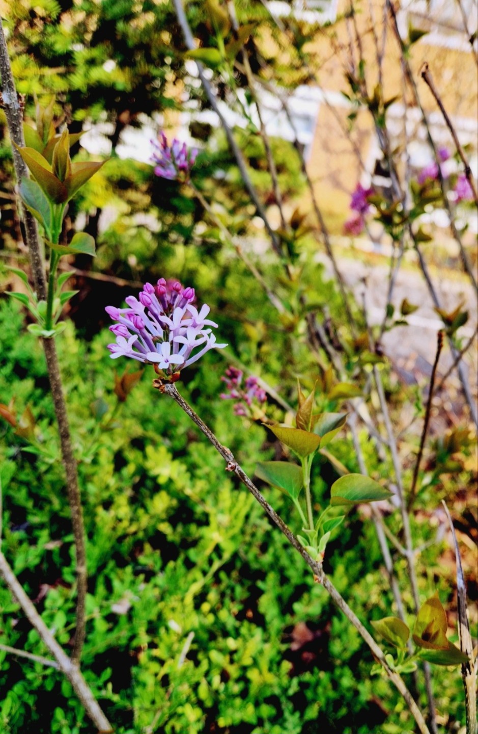 걷기 좋은 날씨! 🌳