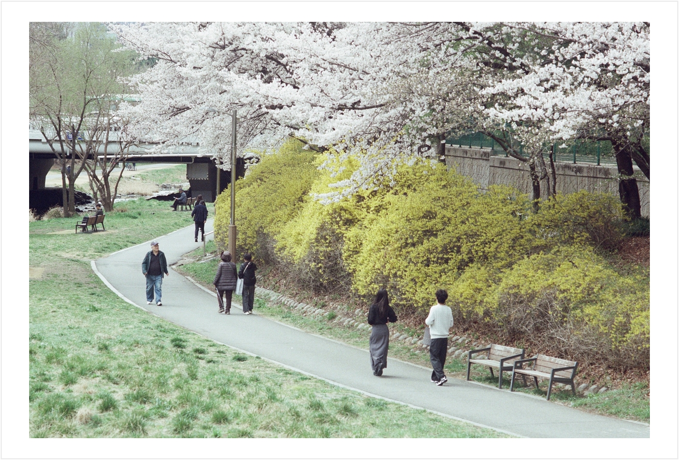 Post image 4